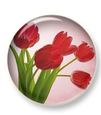 Поддержка наших пользователей. 40% на всё.