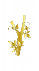 Конкурс для учителей из частных школ!