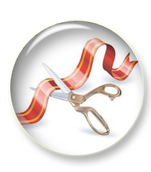 Стартуют новые курсы по истории и обществознанию