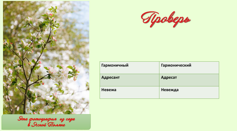 пароним весна.png