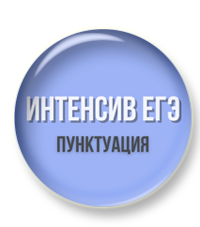 Чудинова Интенсив ЕГЭ Пунктуация.png