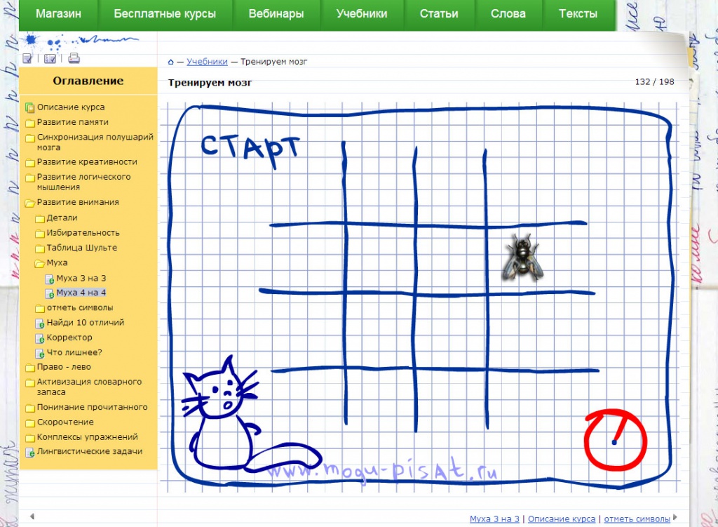 тренировка внимания